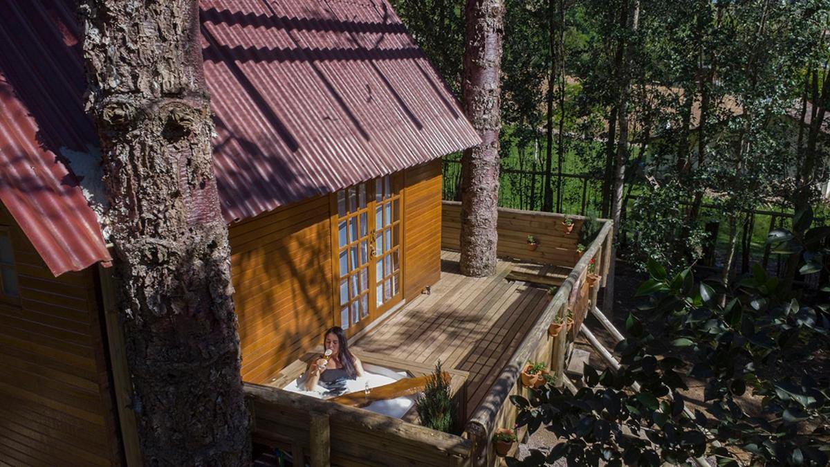Casa Na Arvore Com Hidro, Piscina, Trilha, Cavalo เบงโต กองซัลเวส ภายนอก รูปภาพ