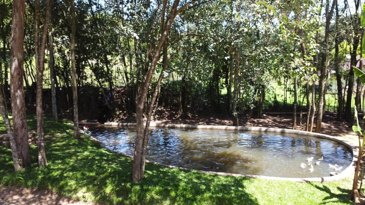 Casa Na Arvore Com Hidro, Piscina, Trilha, Cavalo เบงโต กองซัลเวส ภายนอก รูปภาพ