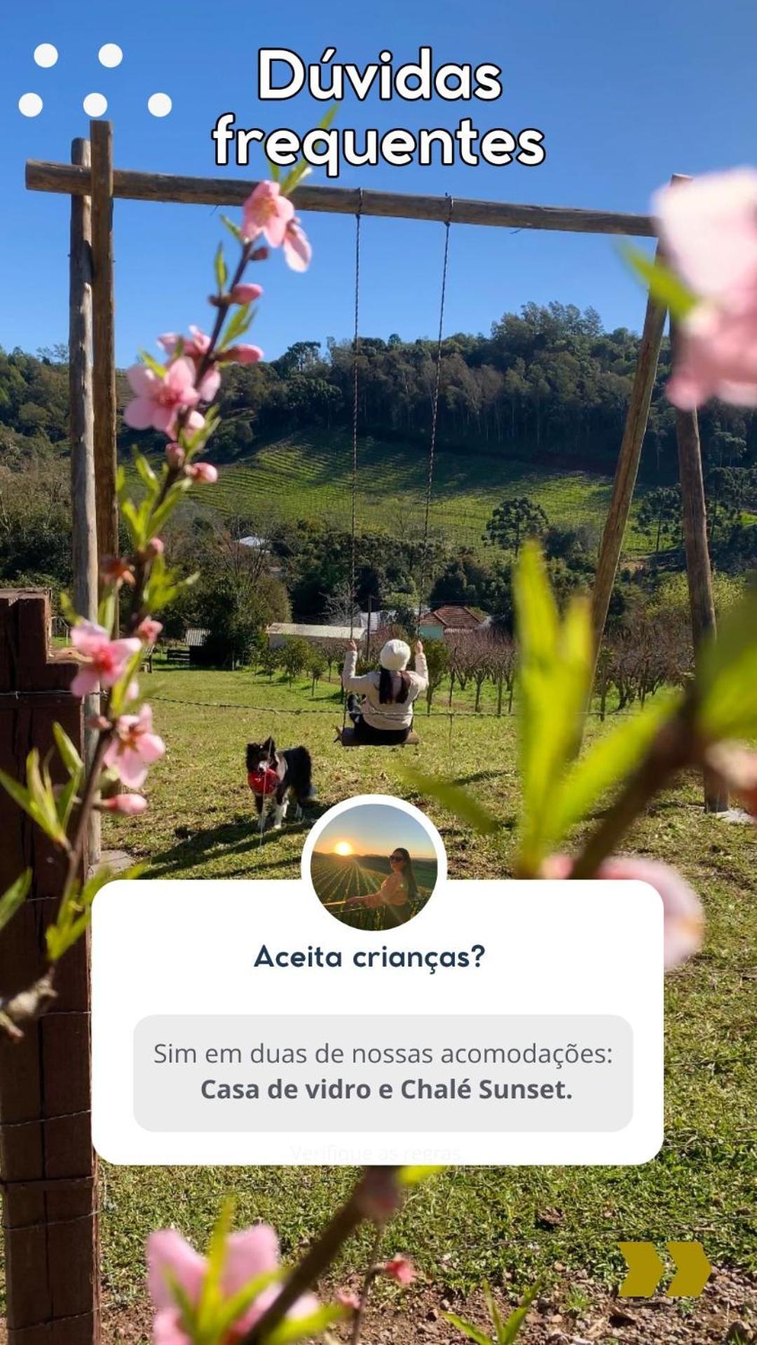 Casa Na Arvore Com Hidro, Piscina, Trilha, Cavalo เบงโต กองซัลเวส ภายนอก รูปภาพ