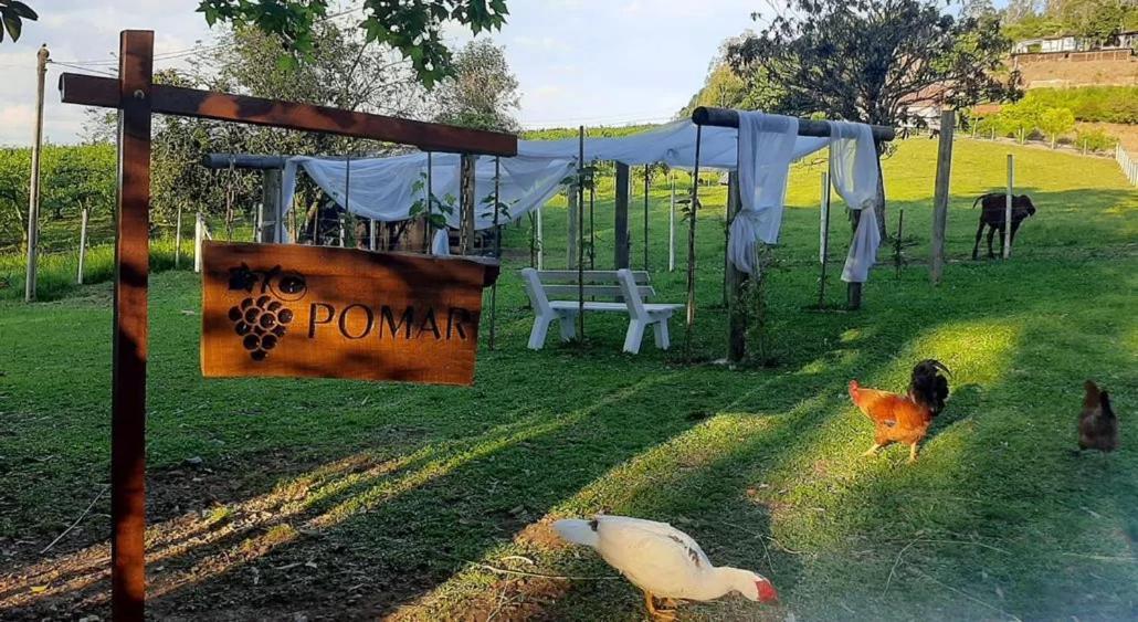 Casa Na Arvore Com Hidro, Piscina, Trilha, Cavalo เบงโต กองซัลเวส ภายนอก รูปภาพ