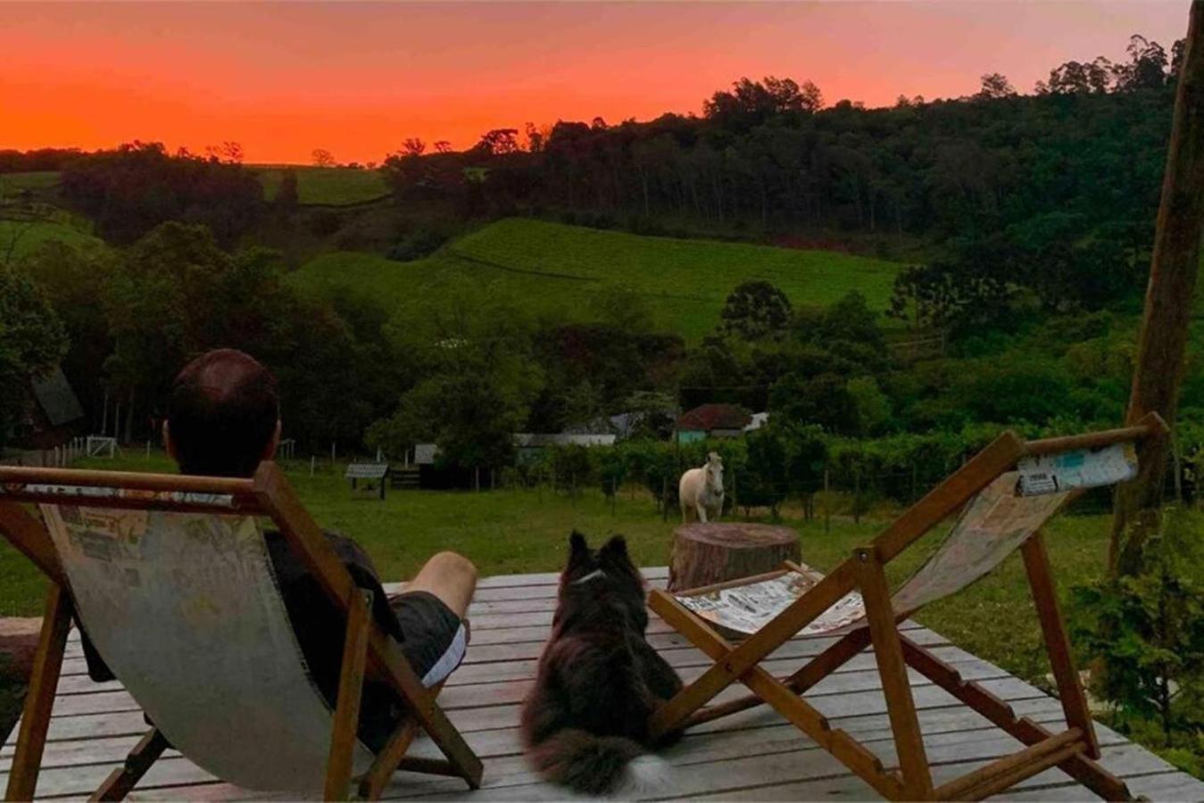 Casa Na Arvore Com Hidro, Piscina, Trilha, Cavalo เบงโต กองซัลเวส ภายนอก รูปภาพ